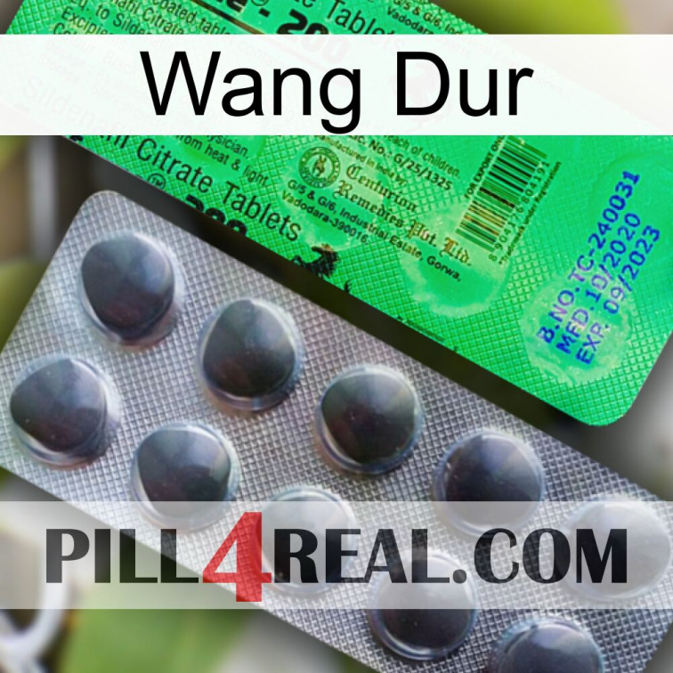 Hard Wang new04